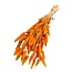 Gedroogde Hazenstaartjes | Kleur: Oranje | Lagurus Droogbloemen | Lengte ± 70 centimeter | Gewicht 100 gram | Per bos