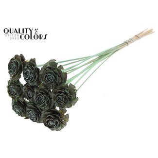 QC Cedar Rose sur tige | Couleur: Vert menthe givré | Pique pomme de pin | Longueur ± 50 centimeter | 10 piques par botte