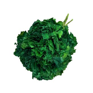 Casa Alegria Preserved Hydrangea | Colour: Green | Hydrangea Dried Flowers | Length ± 30 centimeter | Weight 50 gram | Per bunch