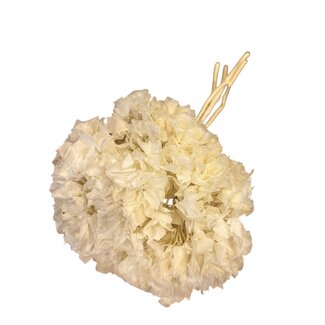 Casa Alegria Preserved Bleached Hydrangea | Colour: White | Hydrangea Dried Flowers | Length ± 30 centimetre | Weight 50 gram | Per bunch