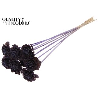 QC Cedar Rose am Stiel | Farbe: Gefrostetes Milchviolett | Tannenzapfen-Stecker | Länge ± 50 centimeter | 10 Stecker pro Bund