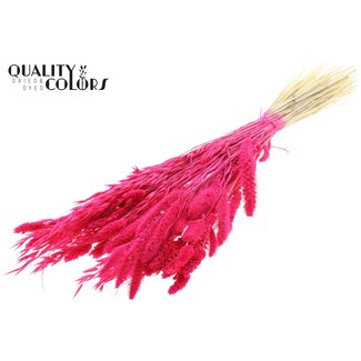 QC Dried Flower Mix per bunch Bleached Cerise