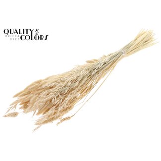 QC Dried Flower Mix per bunch Bleached Frosted White