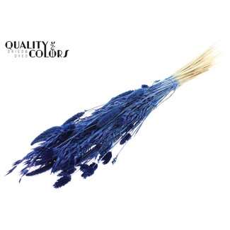 QC Dried Flower Mix per bunch Bleached Blue