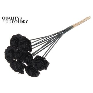 QC Cedar Rose sur tige | Couleur: Noir | Pique de pomme de pin | Longueur ± 50 centimètres | 10 piques par bouquet