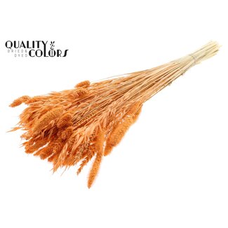 QC Boeket Gebleekte Gedroogde Bloemenmix | Kleur: Zalmkleurig | Lengte ± 60 centimeter | Per bos