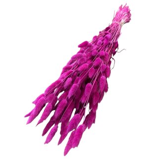 Casa Alegria Gedroogde Hazenstaartjes | Kleur: Kerskleurig | Lagurus Droogbloemen | Lengte ± 70 centimeter | Gewicht 100 gram | Per bos