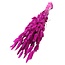 Dried Hare Tails | Colour: Cherry-coloured | Lagurus Dried Flowers | Length ± 70 centimeter | Weight 100 gram | Per bunch