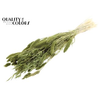QC Boeket Gebleekte Gedroogde Bloemenmix | Kleur: Olijfgroen | Lengte ± 60 centimeter | Per bos