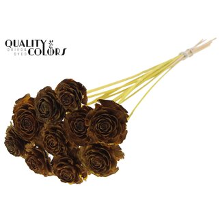 QC Cedar Rose op stok | Kleur: Geel | Dennenappel Bijsteker | Lengte ± 50 centimeter | 10 bijstekers per bos