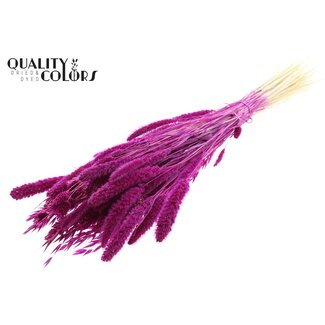 QC Dried Flower Mix per bunch Bleached Lilac