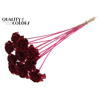 QC Cedar Rose am Stiel | Farbe: kirschfarben | Tannenzapfen-Stecker | Länge ± 50 centimeter | 10 Stecker pro Bund