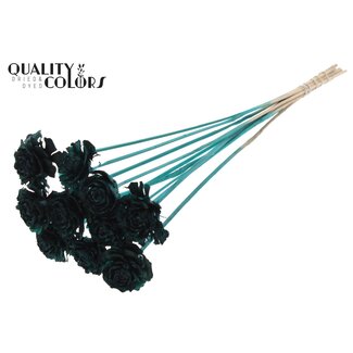 QC Cedar Rose op stok | Kleur: Turquoise | Dennenappel Bijsteker | Lengte ± 50 centimeter | 10 bijstekers per bos