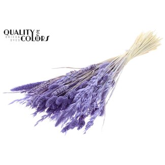 QC Bouquet Bleached Dried Flower Mix | Colour: Milky purple | Length ± 60 centimeter | Per bunch