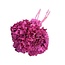 Hortensia préservée | Couleur: Rose | Hortensia Fleurs séchées | Longueur ± 30 centimeter | Poids 50 gram | Par bouquet
