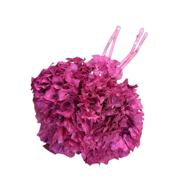 Preserved Hydrangea | Colour: Pink | Hydrangea Dried Flowers | Length ± 30 centimetre | Weight 50 gram | Per bunch