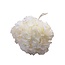 Hydrangea Preserved | White Bleached | 50 cm | Diameter 15 | Per 1 stem