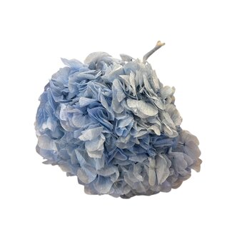 Casa Alegria Hydrangea Hortensia préservé | Couleur: Bleu clair | Longueur ± 50 centimeter | Diamètre 15 centimeter | Par tige