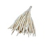 Séchée Blanchie Setaria Italica | Couleur: Blanc | Longueur ± 65 centimeter | Poids 130 gram | Par bouquet