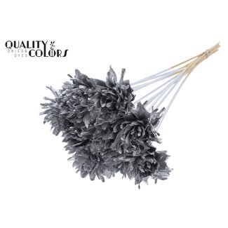 QC Shola Blume auf Stiel | Farbe: silberfarben | Shola Slice Pine | Durchmesser 6 centimeter | Länge ± 50 centimeter | 10 Blumenstecker pro Bund | Pro Bund