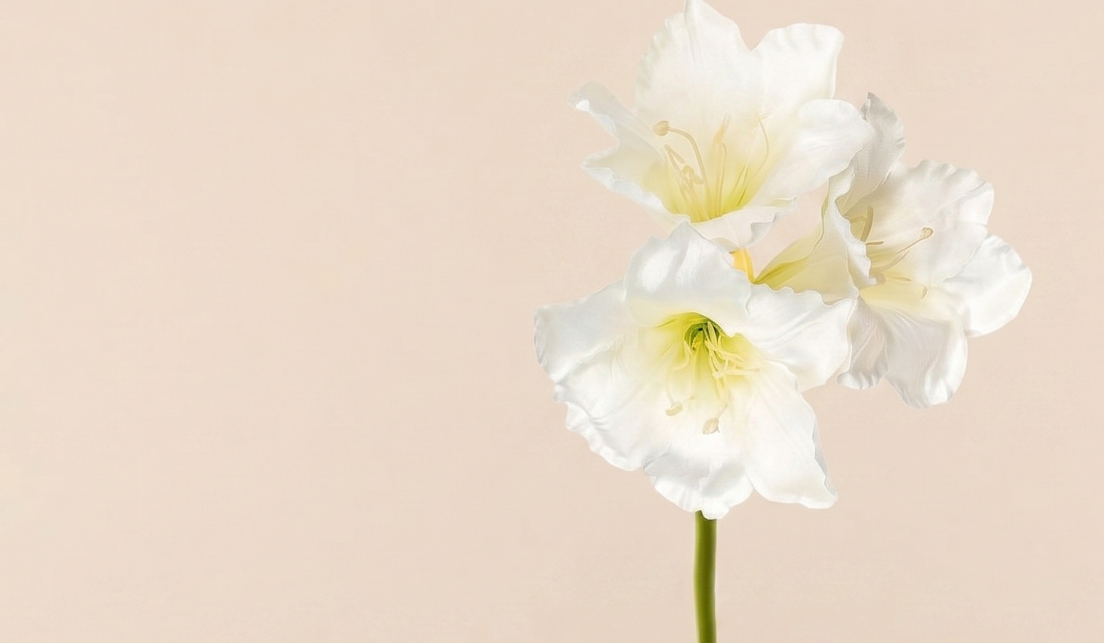 Amaryllis: Luxury Artificial Flowers for B2B | B2B Flowers