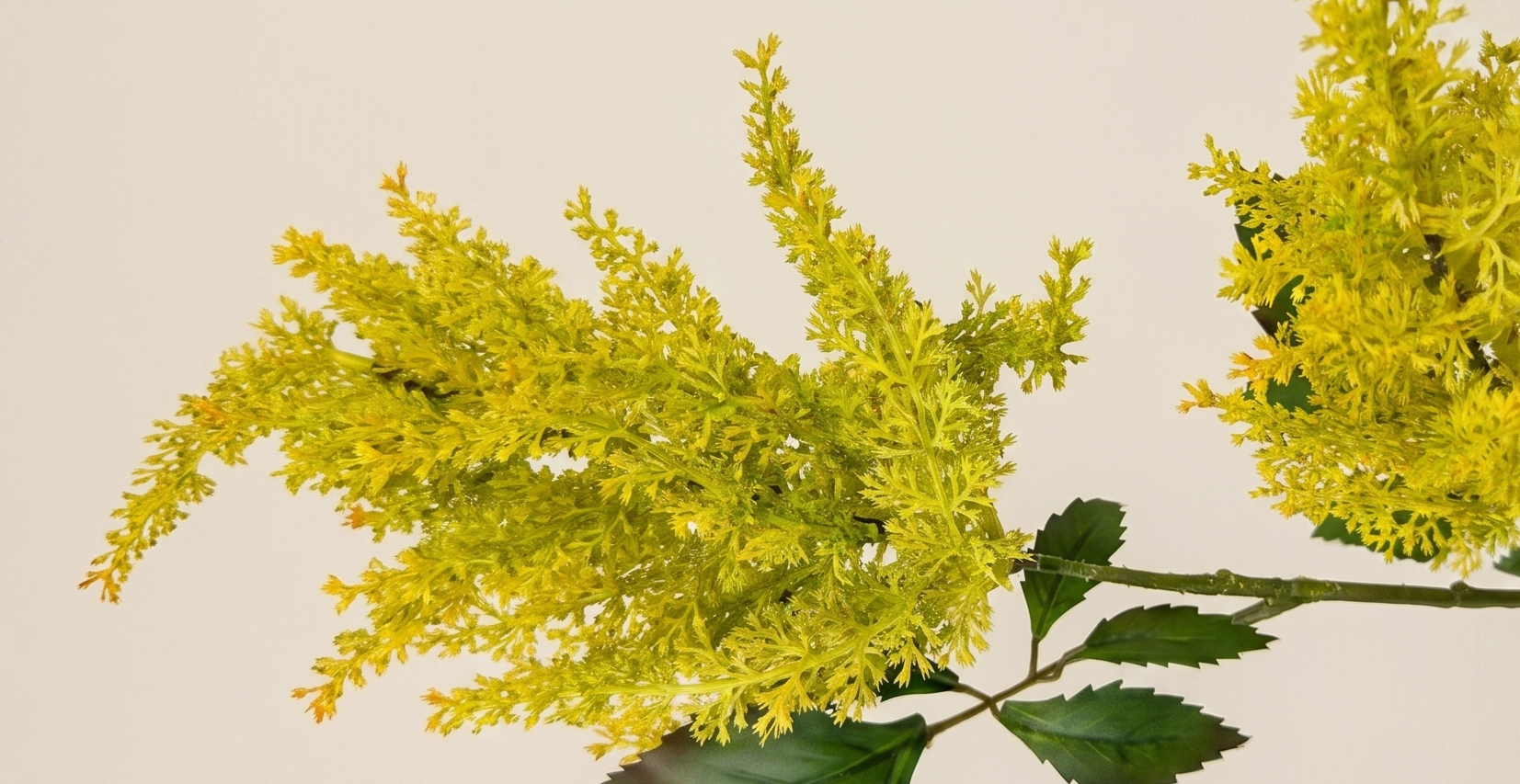 Artificial Astilbe: Fluffy Elegance for B2B | B2B Flowers