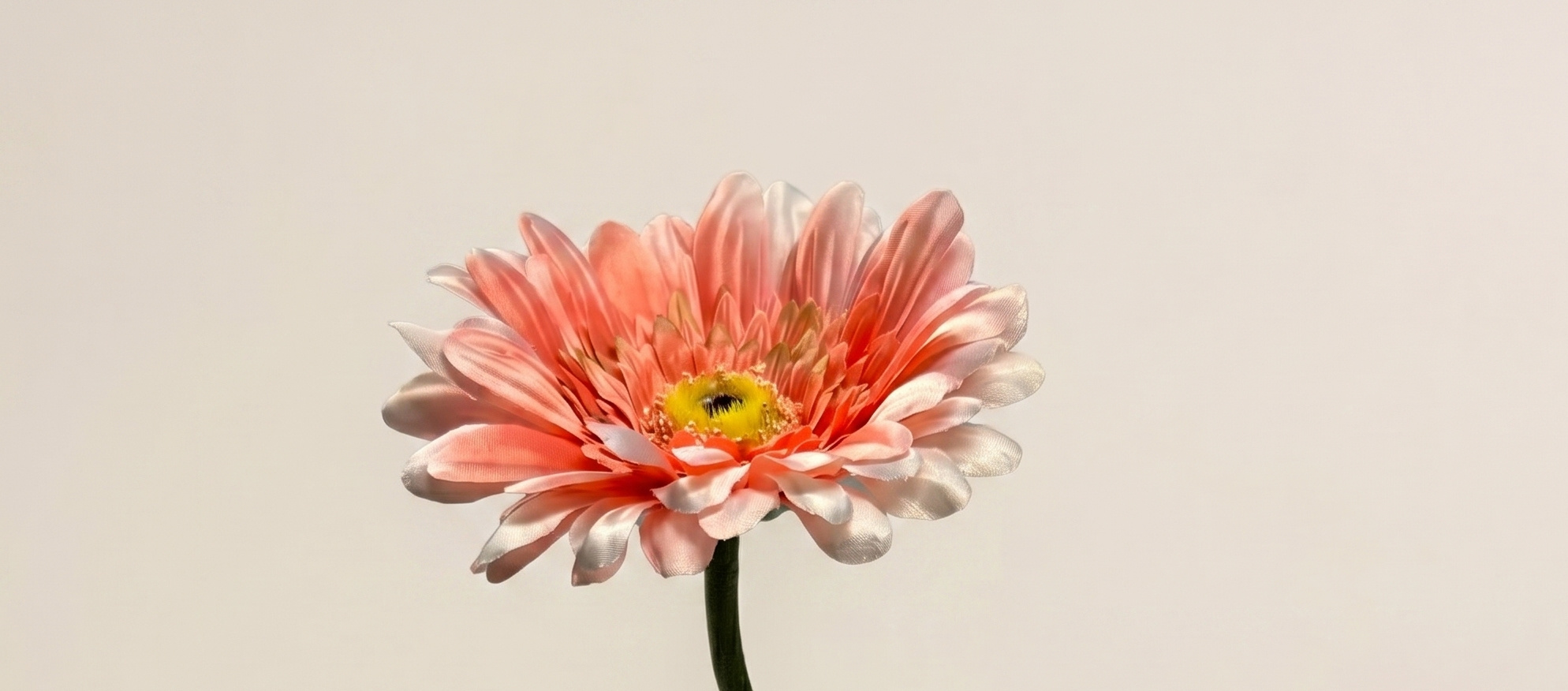 Gerbera: Fröhliche Seidenblumen für B2B | B2B Flowers