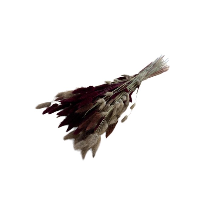 Boeket droogbloemen Lagurus "Bordeaux Naturel Mix" | Kleur: Gemengde Kleuren | Lengte ± 70 centimeter | met donkerrode en naturelle droogbloemen