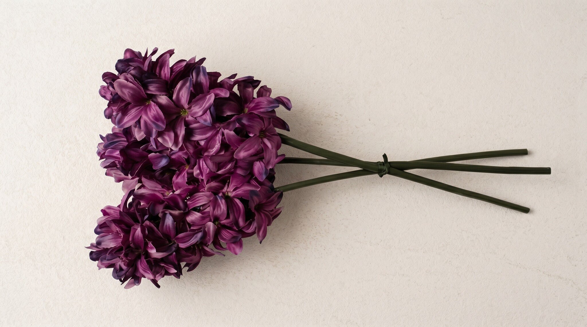 Hyacinthus (Hyacint): Het voorjaarsgevoel voor uw B2B-assortiment | B2B Flowers
