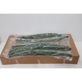 Freshy Bamboe (p. bos)