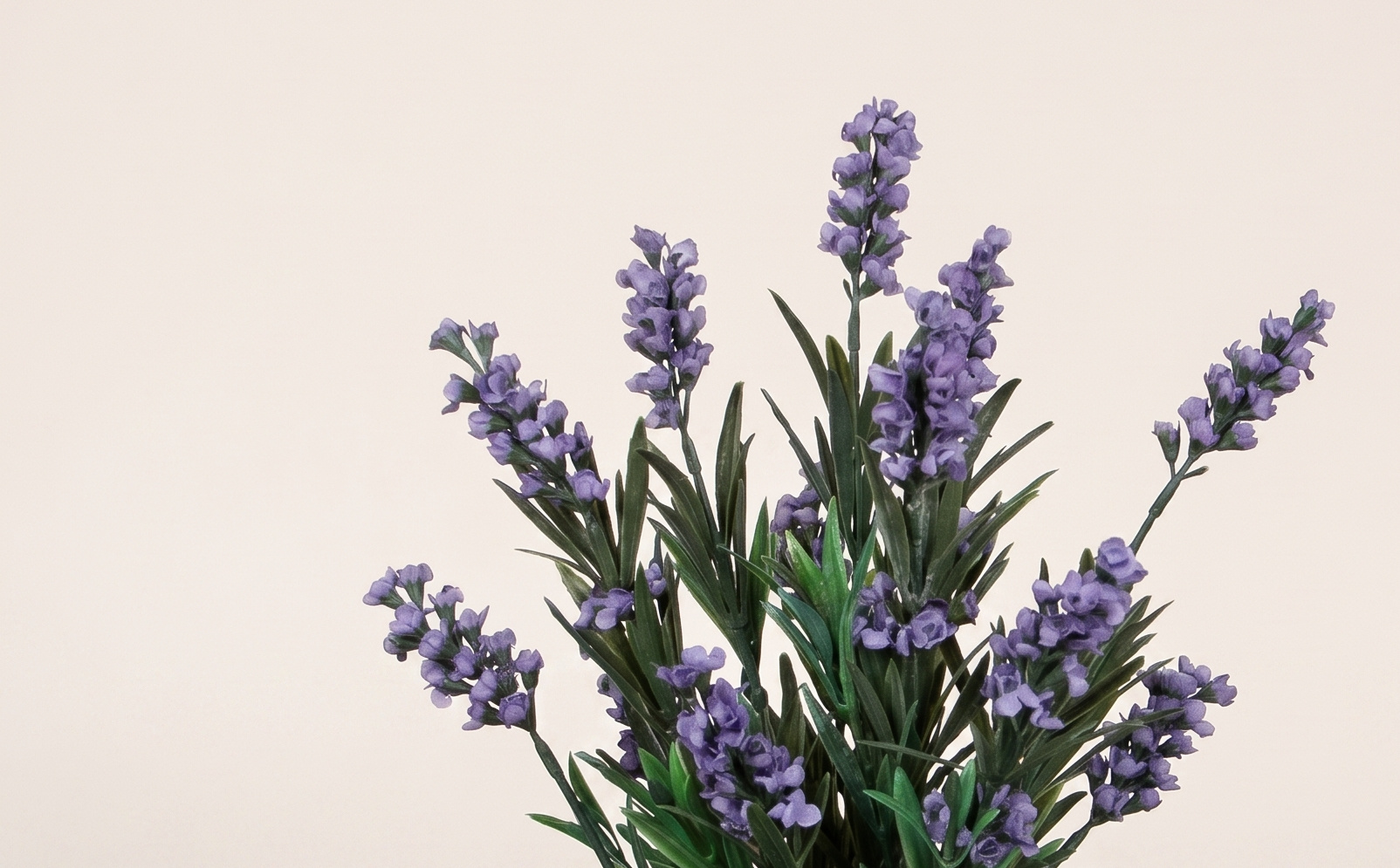 Artificial Lavandula (Lavender): Timeless Elegance for Business Interiors | B2B Flowers