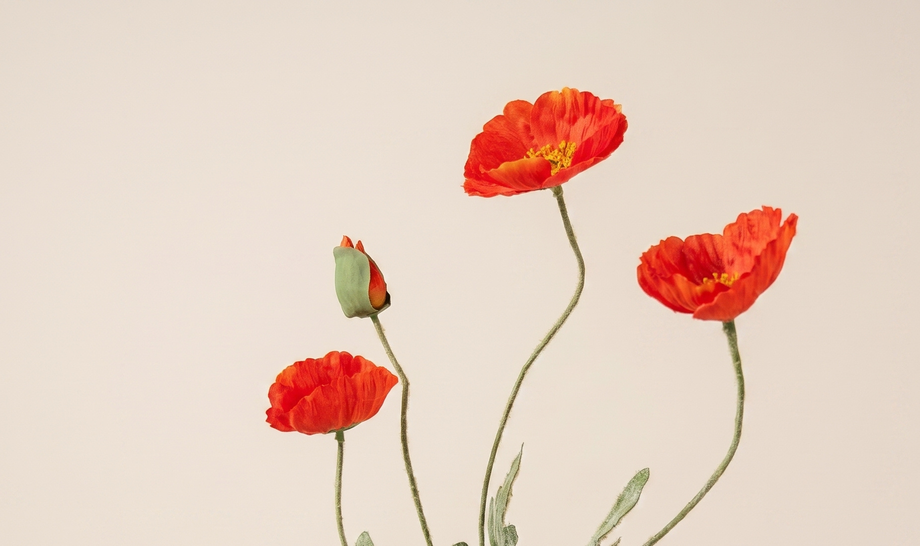 Papaver (Pavot) Fleurs Artificielles : Élégance Durable pour B2B | B2B Flowers