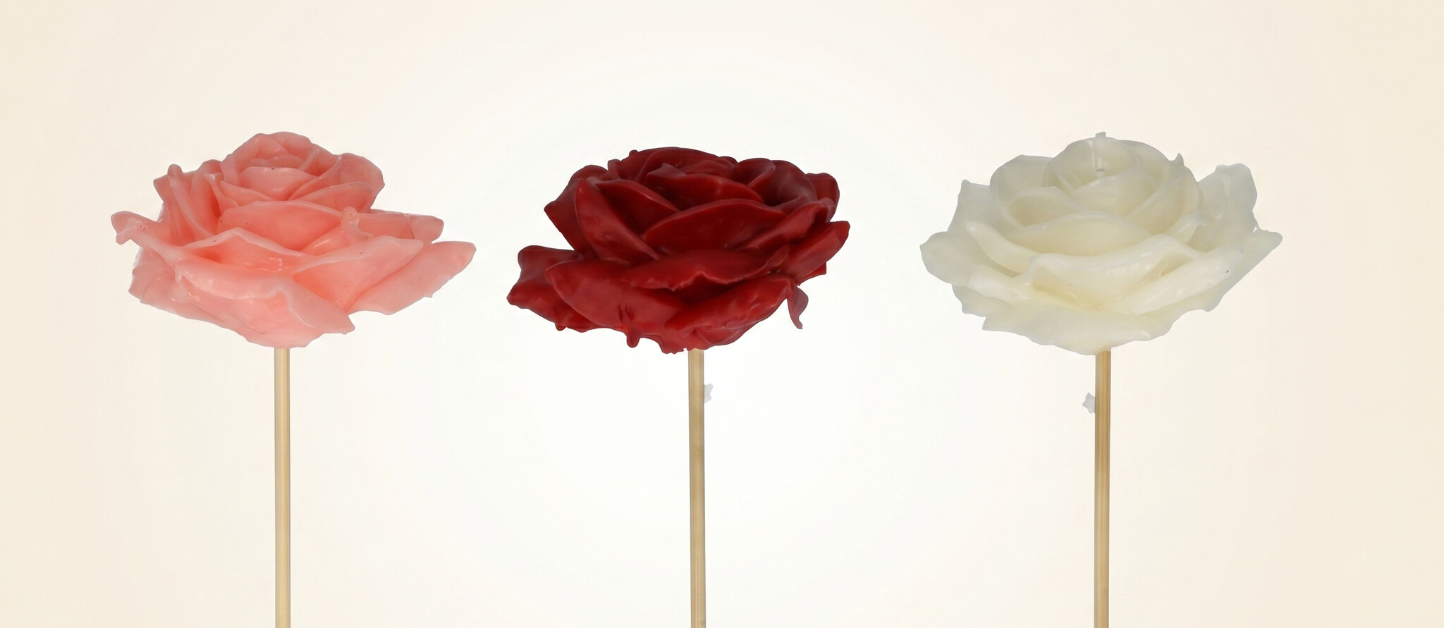 Roses Cirées (Wax) : Décoration de Luxe Durable pour Votre Entreprise | B2B Flowers