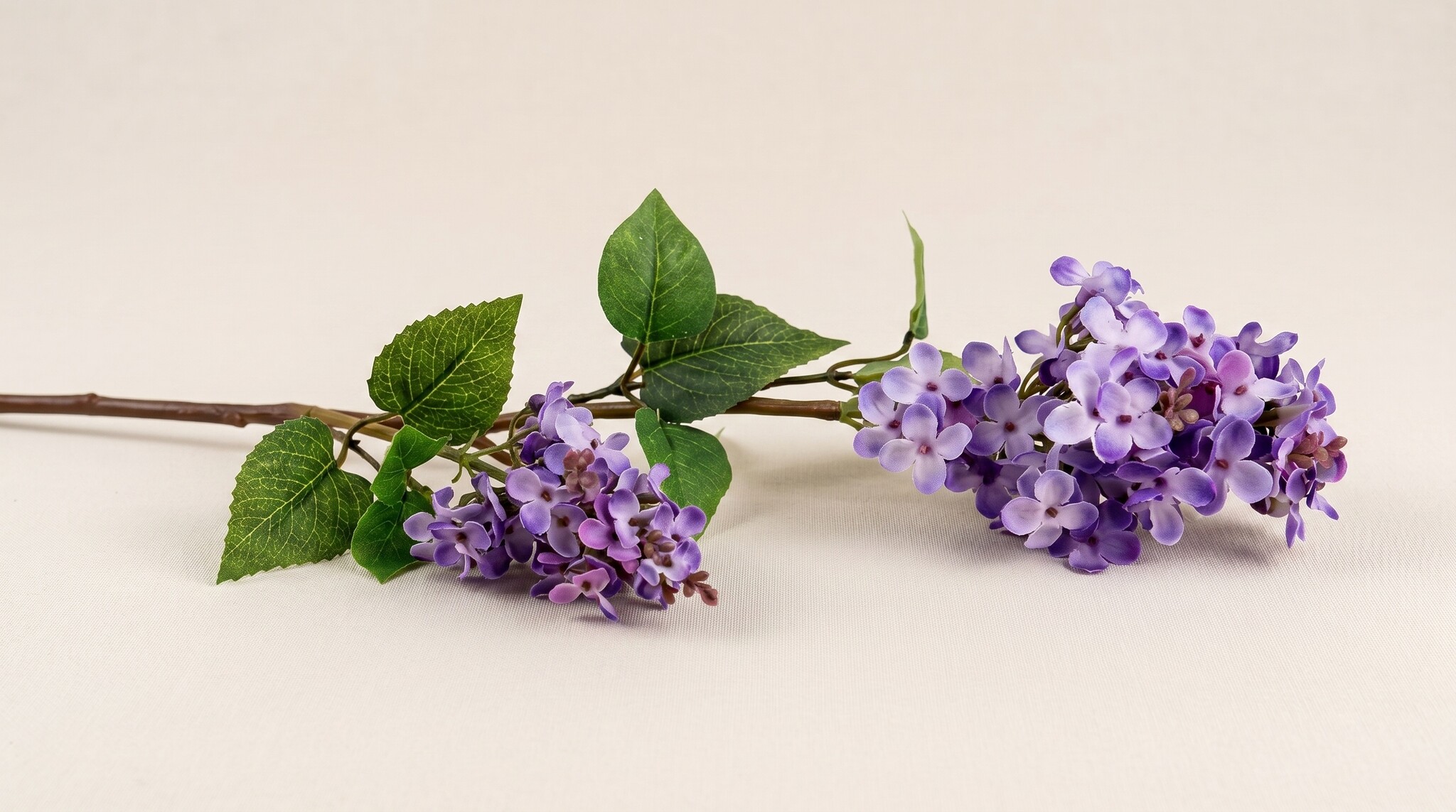 Syringa (Flieder): Exklusive Seidenblüten für B2B | B2B Flowers