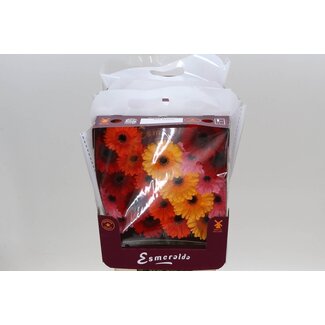 Freshy Gerbera Mi Aqua “Mix Basis” | Farbe: Gemischte Farben | Länge ± 45 centimeter | Pro 20 frische Blumen