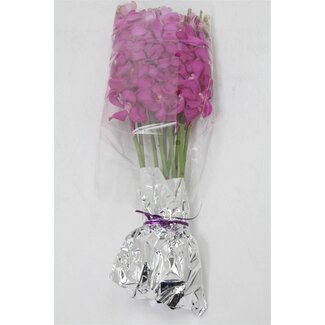 Freshy Mokara Orchidee “Calipso” | Kleur: Roze Paars | Lengte ± 60 centimeter | Per 10 stelen verse bloemen