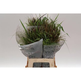Freshy Ornamental grasses Mixed | Colour: Green | Length ± 70 centimetre | Per 50 stems