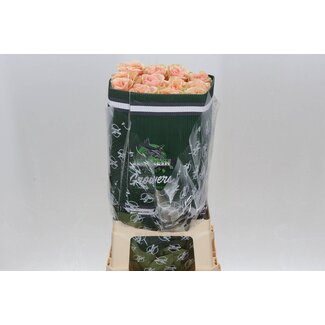 Freshy Großblütige Rose “Phoenix” | Farbe: Rosa Orange | Länge ± 60 centimeter | Herkunft Ecuador | Pro 25 frische Blumen