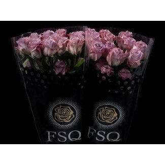 Freshy Großblütige Rose “Cooldown” | Farbe: Rosa | Länge ± 60 centimeter | Herkunft Ecuador | Pro 20 frische Blumen