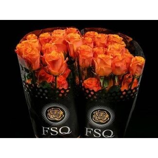 Freshy Rose à grandes fleurs “Tycoon” | Couleur: Jaune Orange | Longueur ± 60 centimeter | Origine Équateur | Par 20 fleurs fraîches