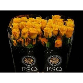 Freshy Großblütige Rose “Brighton” | Farbe: Gelb | Länge ± 60 centimeter | Herkunft Ecuador | Pro 20 frische Blumen
