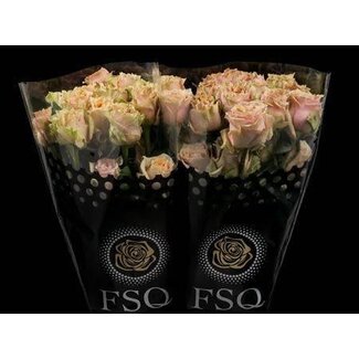Freshy Rose à grandes fleurs “Caramel Macchiato” | Couleur: Jaune Rose | Longueur ± 60 centimeter | Origine Équateur | Par 20 fleurs fraîches