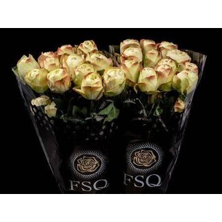 Freshy Rose à grandes fleurs “Khela Dark” | Couleur: Jaune Rouge | Longueur ± 60 centimeter | Origine Équateur | Par 20 fleurs fraîches