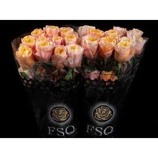 Freshy Großblütige Rose “Kings Cross” | Farbe: Gelb Pink | Länge ± 60 centimeter | Herkunft Ecuador | Pro 20 frische Blumen
