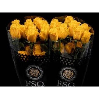 Freshy Großblütige Rose “Impact” | Farbe: Gelb | Länge ± 60 centimeter | Herkunft Ecuador | Pro 20 frische Blumen