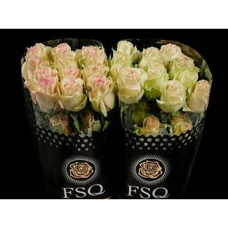 Freshy Rose à grandes fleurs “Marzipan” | Couleur: Jaune Rose | Longueur ± 60 centimeter | Origine Équateur | Par 20 fleurs fraîches