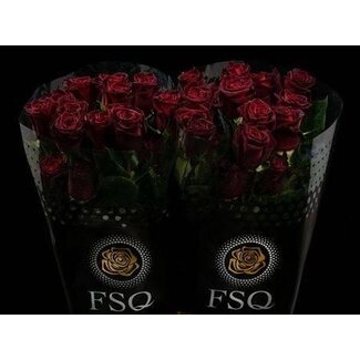 Freshy Rose à grandes fleurs “Black Baccara” | Couleur: Rouge | Longueur ± 50 centimètres | Origine Équateur | Par 20 fleurs fraîches