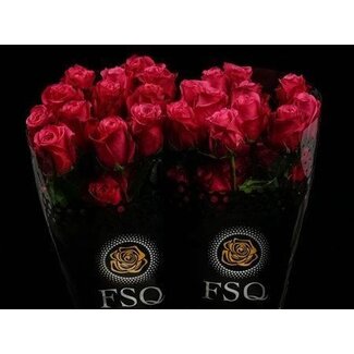 Freshy R Eq Cherry O !