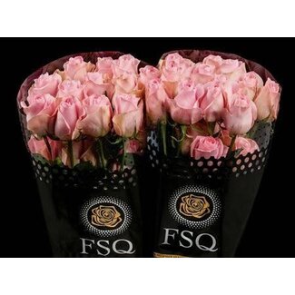 Freshy Rose grandiflore “Luciano” | Couleur: Rose | Longueur ± 50 centimeter | Origine Ecuador | Par 20 fleurs fraîches