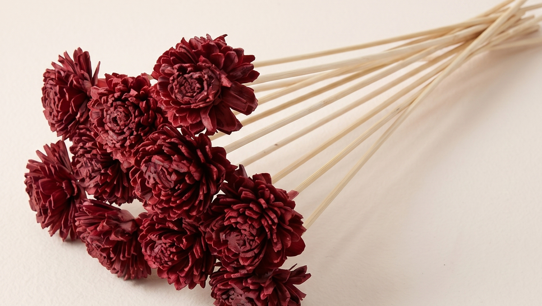 Zinia (Shola) : Fleur Faite à la Main Pleine de Caractère pour B2B | B2B Flowers